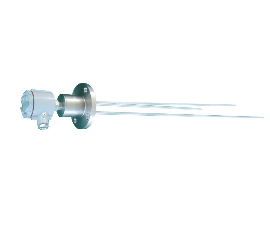 RD-DDK型系列插入式電極液位控制器/液位開關(guān)--單點(diǎn)/多點(diǎn)